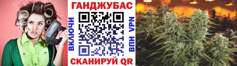 Где купить наркотики Волосово Альфа ПВП  Псилоцибиновые грибы  Канабис  ОМГ ОМГ зеркало  Гашиш  Cocaine 