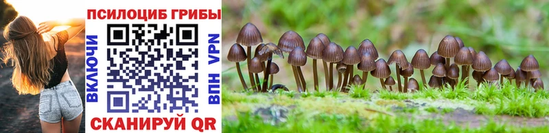 Псилоцибиновые грибы MAGIC MUSHROOMS  omg tor  Волосово 